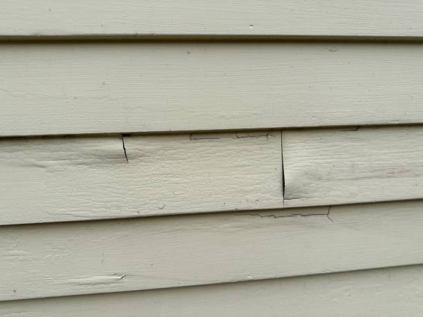 Siding Removal and Disposal in Erwin, TN